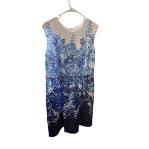 Sandra Darren Womens Floral Ombre Sleeveless Sheath Dress Size 14 Blue White